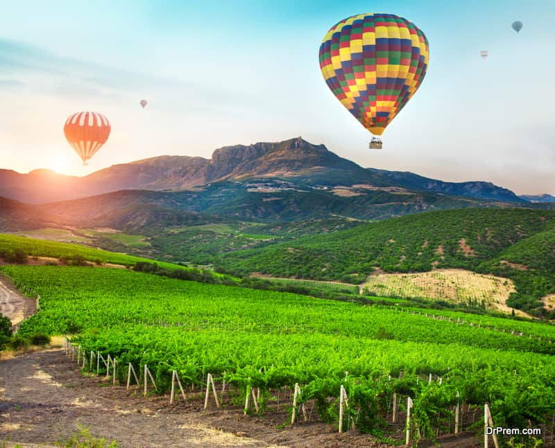 Hot Air Balloon over vineyards