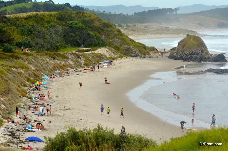 Tawharanui Regional Park