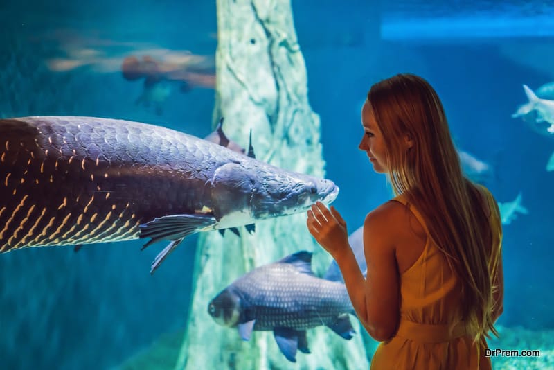 The Dubai Aquarium, Dubai