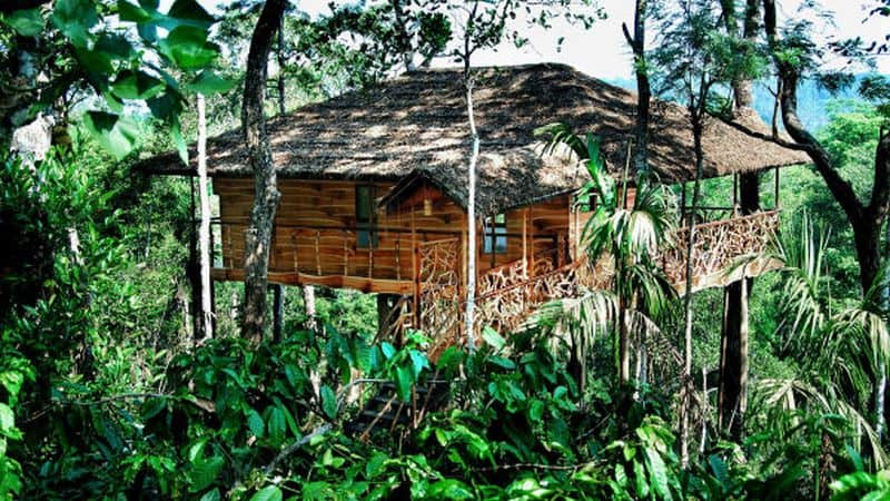 The Tranquil Resort in India