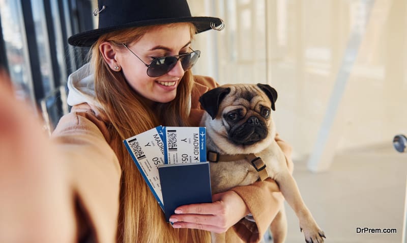 traveling with your adored pets
