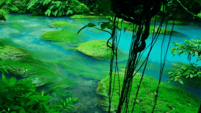 Rio Azul Celeste in tenorio volcano national park of Costa Rica
