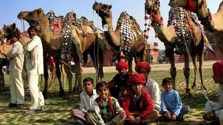 Bikaner camel festival, Rajasthan at India