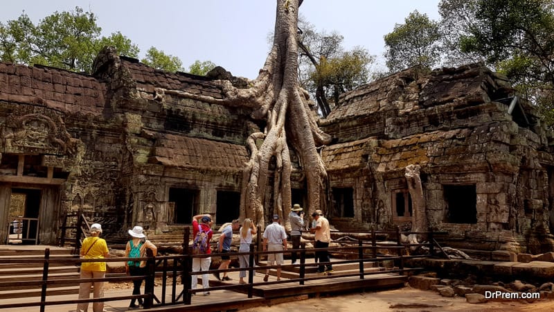 Ta Prohm temple bound by massive roots of huge trees at Angkor