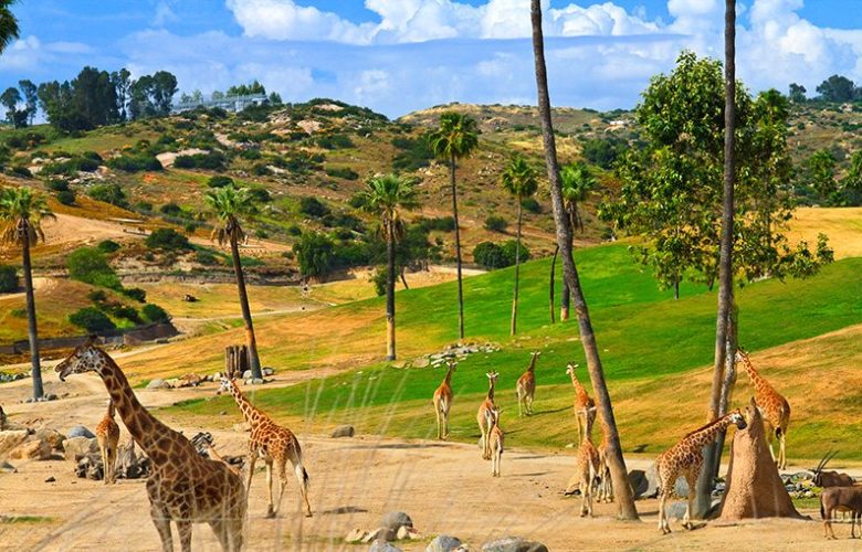 size of san diego safari park