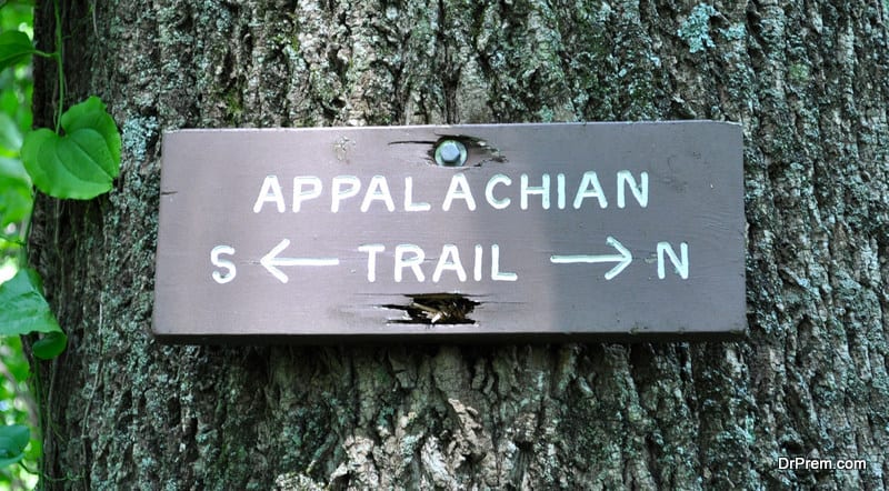 The-Appalachian-Trail.