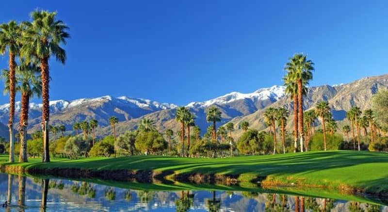 How to spend your vacation in the Palm Springs