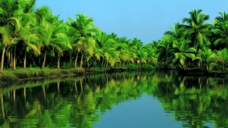 Kerala backwater tour pacakge – Attractions to see at Kerala backwater