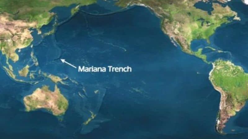 Five things you might encounter on your visit to the Mariana Trench