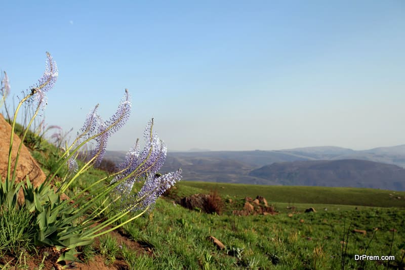 Majuba Hills, South Africa