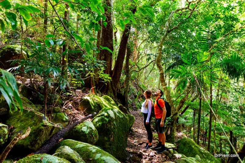 Australian bush walking