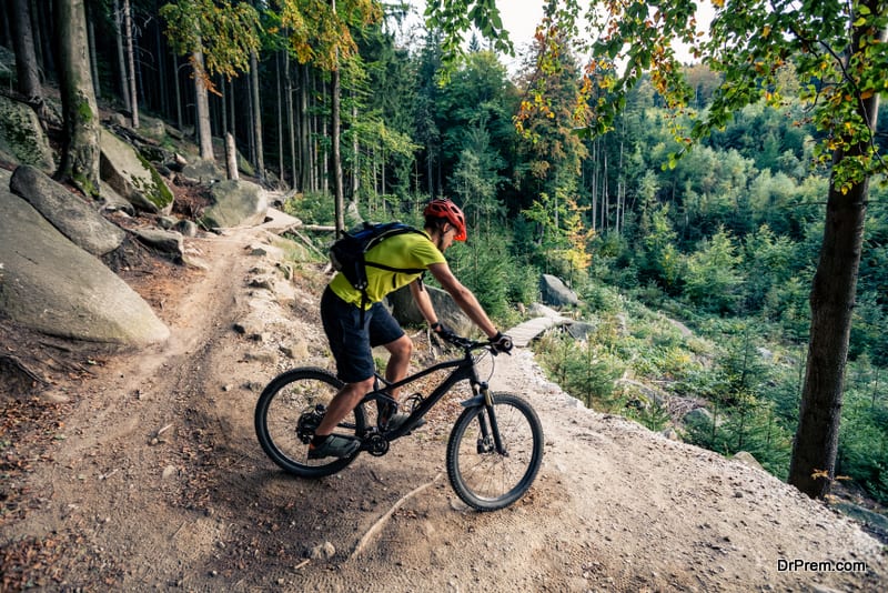 Mountain biker riding on bike on forest dirt trail