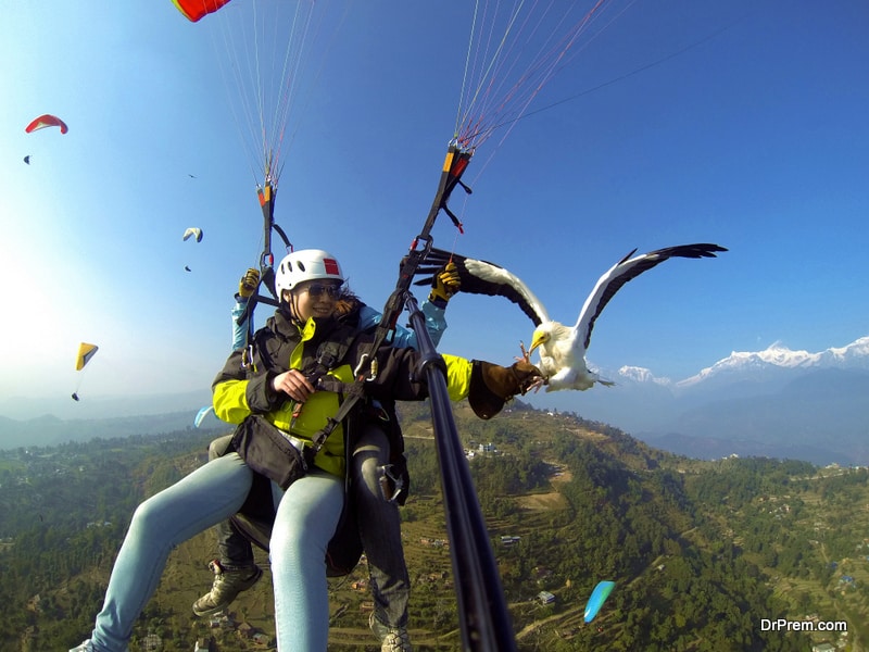 ,the travelers go paragliding