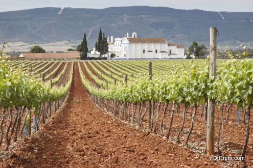 Alentejo - Portugal