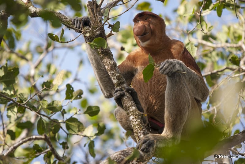 Bako National Park