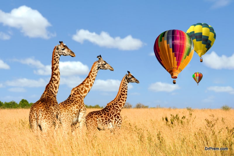 Balloon Safari in Kenya by Dr Prem