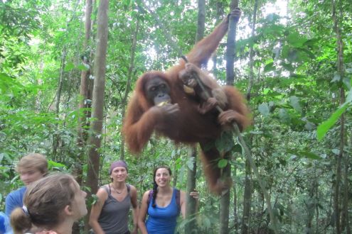 Bukit Lawang, Indonesia