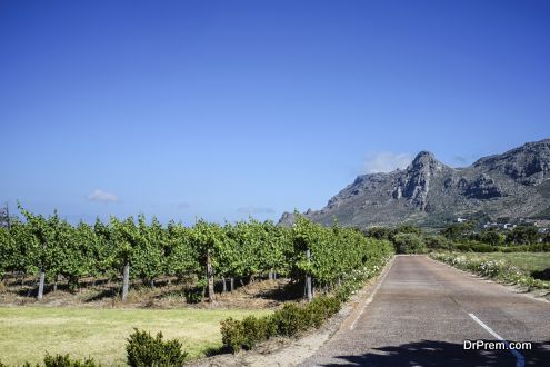 Cape Town Wine Route - South Africa