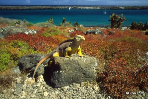 Galapagos National Park, Ecuador