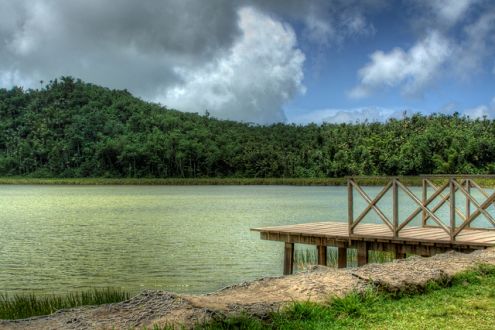 Grand Etang National Park and Forest Reserve, Grenada