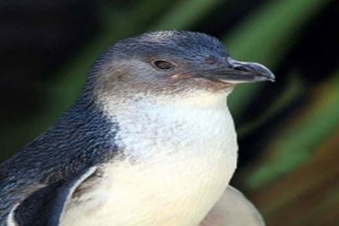 International Antarctic Centre