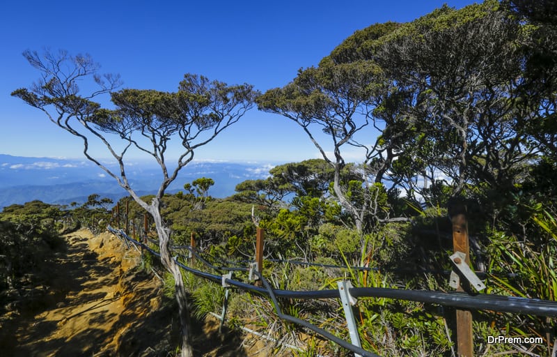 Kinabalu Park, Malaysia