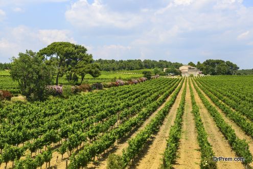 Languedoc - France