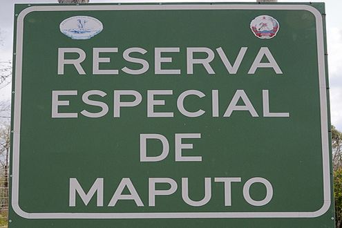 Maputo Special Reserve, Mozambique