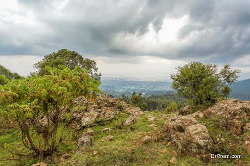 Mountain Entoto, Ethiopia