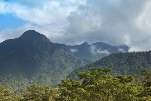 Pico Bonito National Park