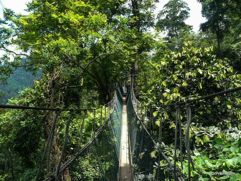 Taman Negara National Park, Malaysia