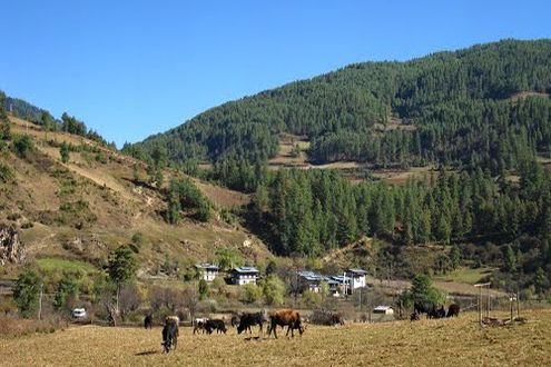 Nangnang Village - Bhutan