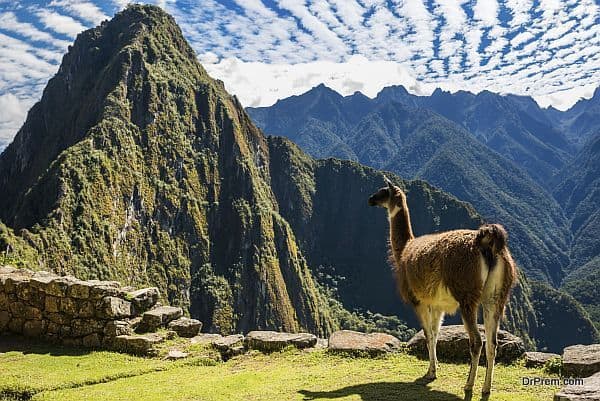 Machu Picchu