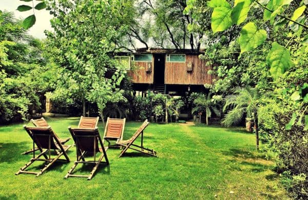 Tree House Resort, Jaipur