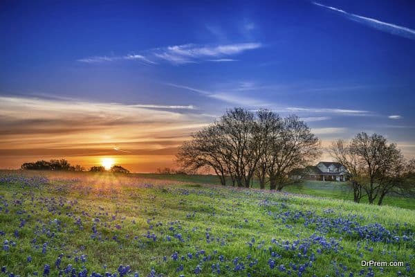 /Amazing-experience-of-Texas