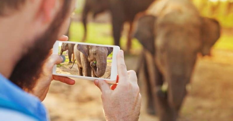 African travel tourism