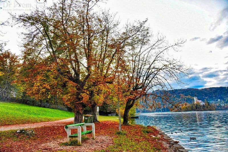  Lake Bled Landscape