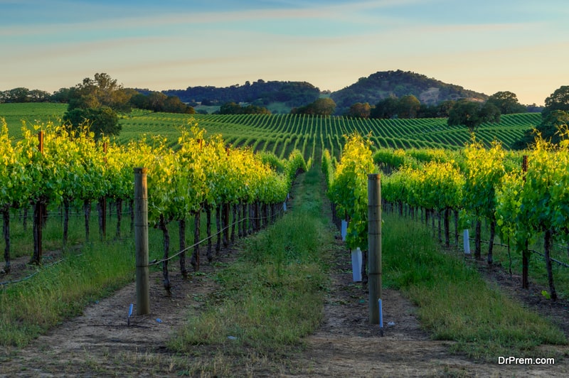 Sonoma, US