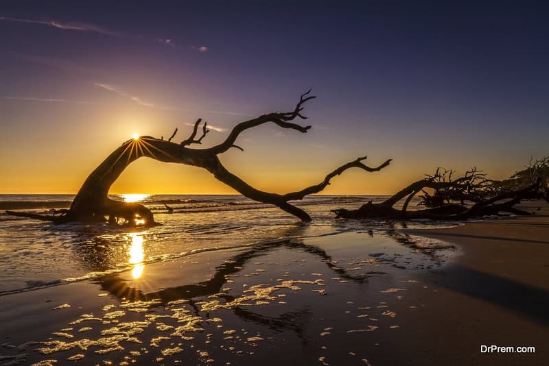 Jekyll-Island-Georgia