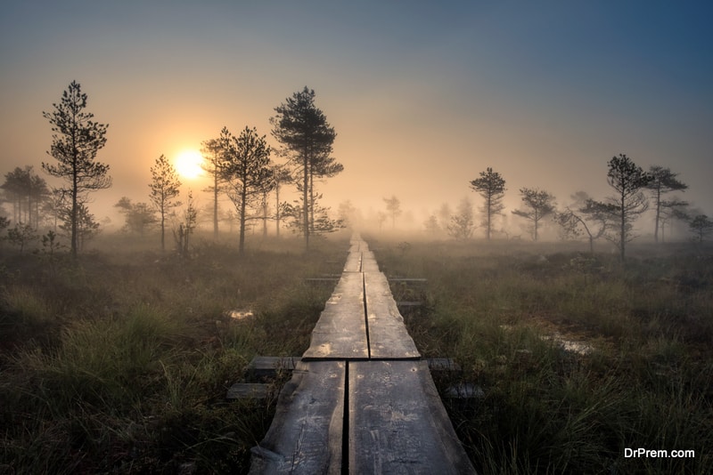 Finnish-National-Parks