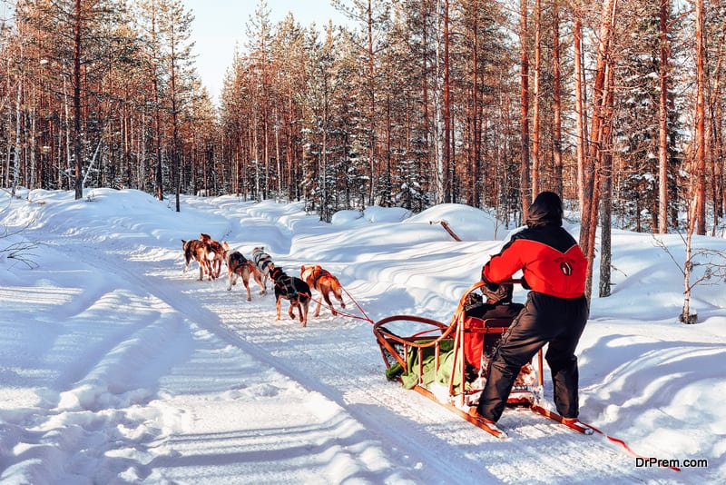 Slash-through-the-snow-on-a-sledge