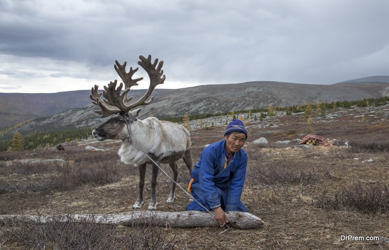 Meet the last reindeer tribe