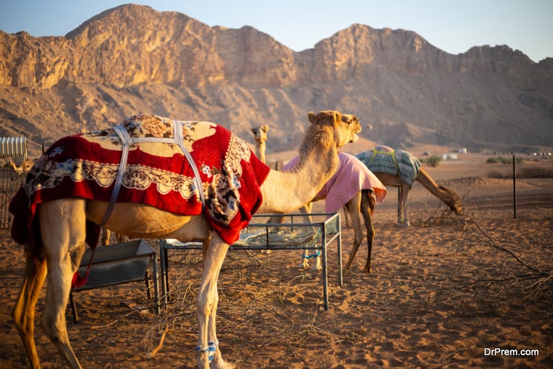 Al Hajar mountains