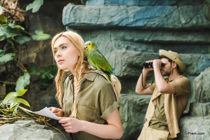  Beautiful young woman in safari suit with parrot and map navigating in jungle while her boyfriend