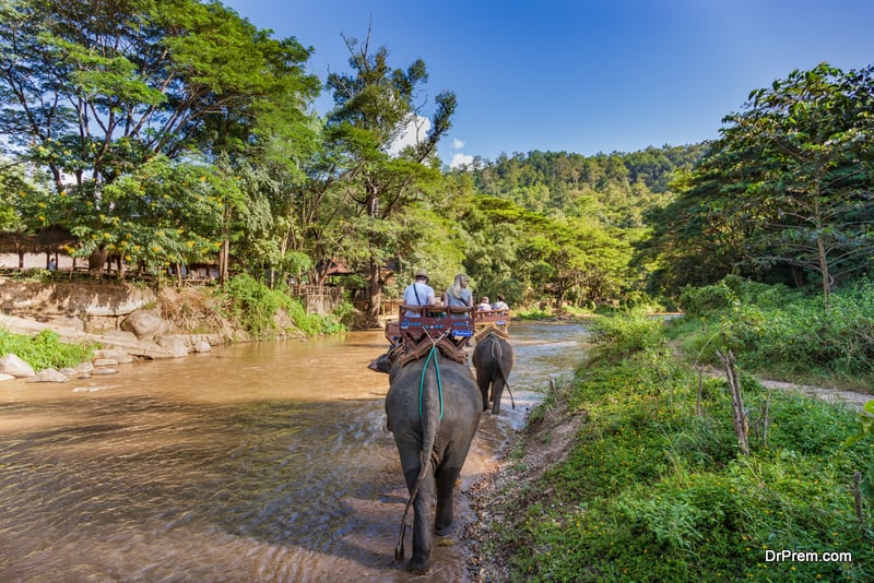 Elephant safaris