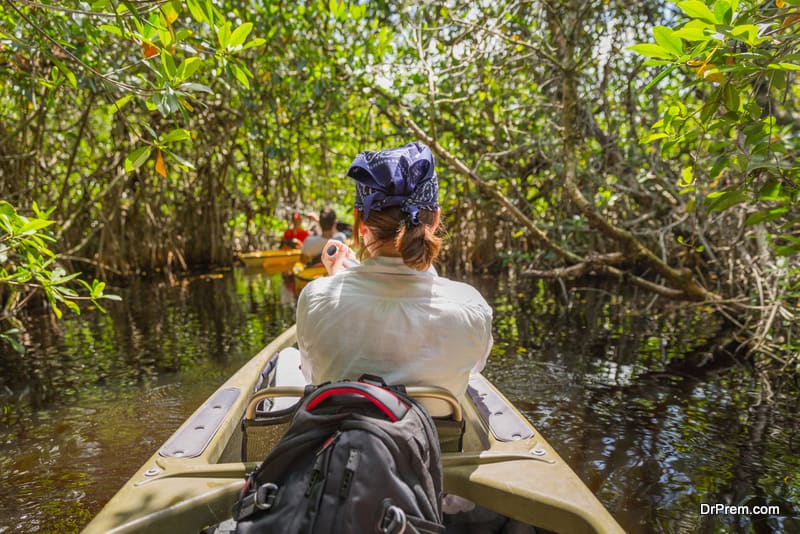 Everglades National Park visit