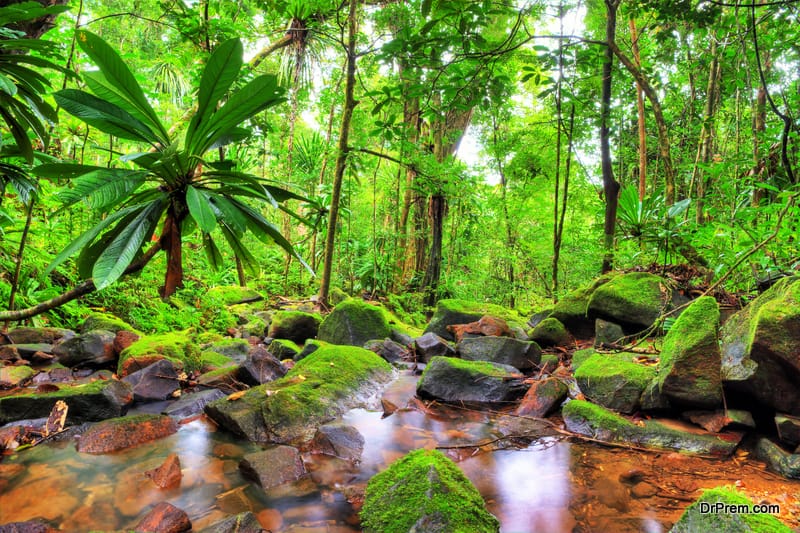 Masoala National Park, Madagascar