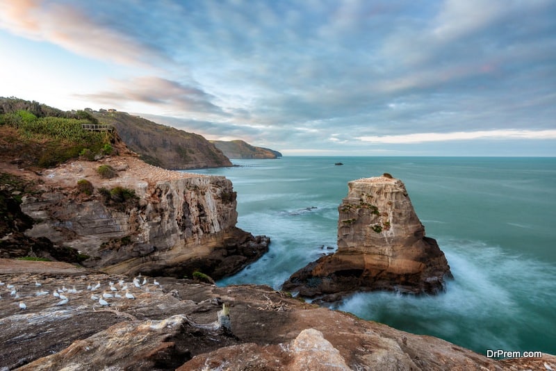 Muriwai Beach