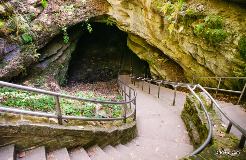 Mammoth Cave National Park