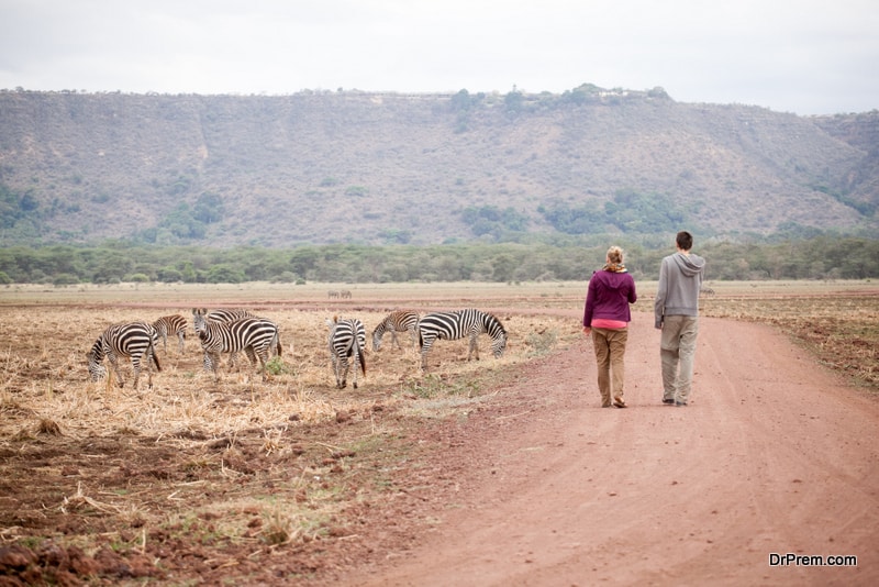 history of wildlife tourism